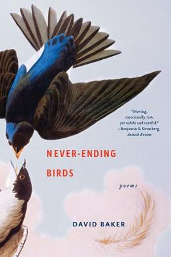never-ending birds,poems