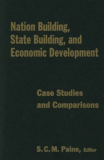 nation building, state building, and economic building,case studies and comparisons