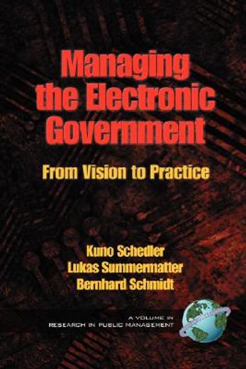 managing the electronic government,from vision to practice