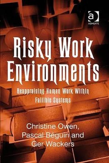 risky work environments,reappraising human work within fallible systems