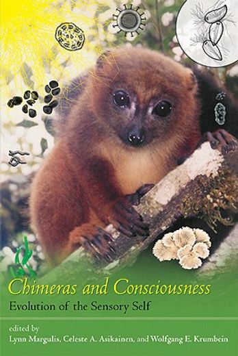 chimeras and consciousness,evolution of the sensory self