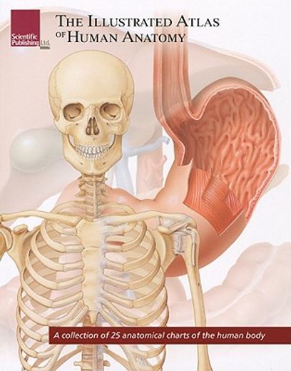 the illustrated atlas of human anatomy