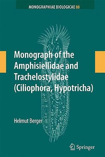 monograph of the amphisiellidae and trachelostylidae (ciliophora, hypotricha)