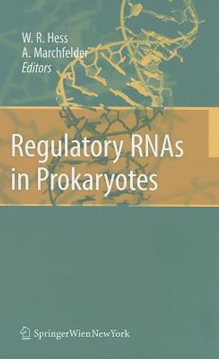 regulatory rnas in prokaryotes