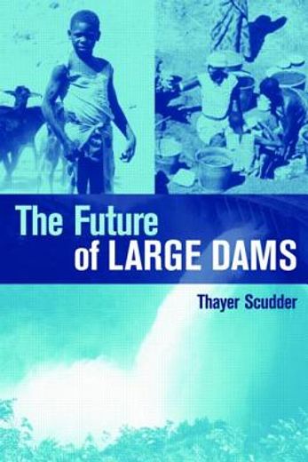 The Future of Large Dams: Dealing with Social, Environmental, Institutional and Political Costs (en Inglés)