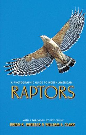 photographic guide to north american raptors (en Inglés)