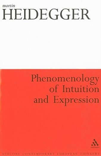 phenomenology of intuition and expression
