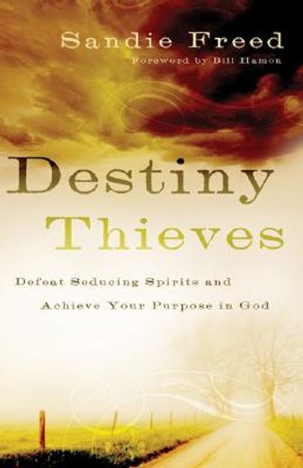 destiny thieves,defeat seducing spirits and achieve your purpose in god