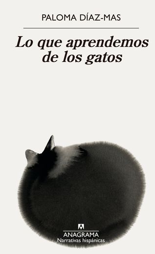 Lo que Aprendemos de los Gatos (in Spanish)