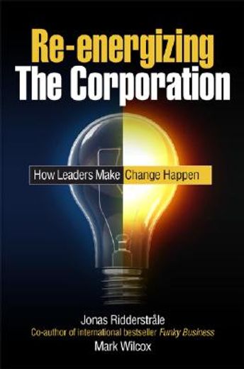 re-energizing the corporation,how leaders make change happen