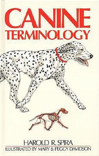 canine terminology (in English)