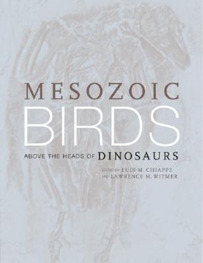 mesozoic birds (en Inglés)