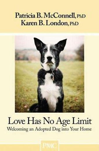 love has no age limit: welcoming an adopted dog into your home