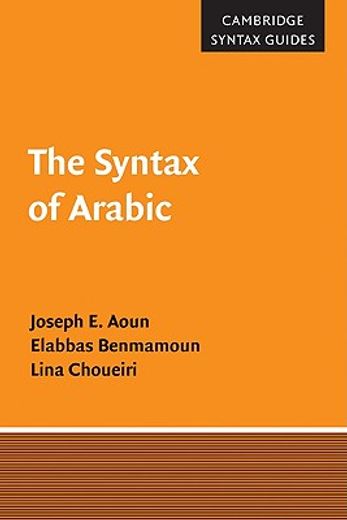 the syntax of arabic