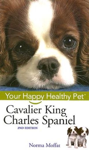 cavalier king charles spaniel (in English)