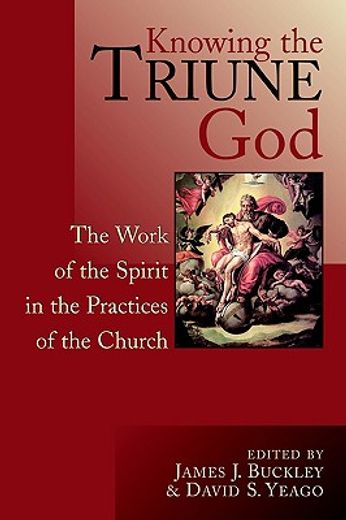 knowing the triune god,the work of the spirit in the practices of the church (in English)