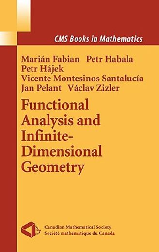 functional analysis and infinite-dimensional geometry (en Inglés)