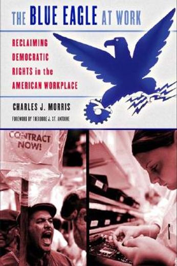 the blue eagle at work,reclaiming democratic rights in the american workplace