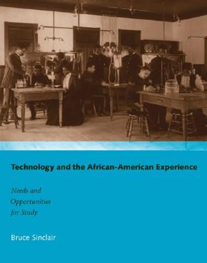 technology and the african-american experience,needs and opportunities for study