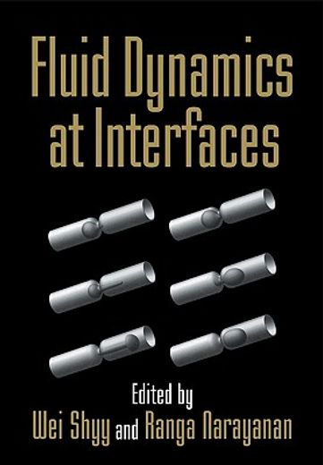Fluid Dynamics at Interfaces (en Inglés)
