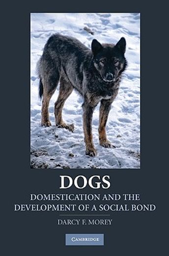 dogs,domestication and the development of a social bond