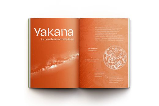 Descolonizar Naturalezas