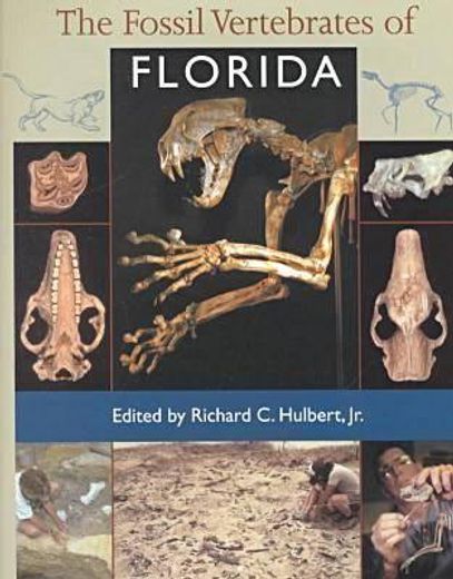 the fossil vertebrates of florida