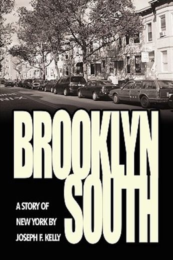 brooklyn south,a story of new york