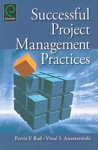 successful project management practices