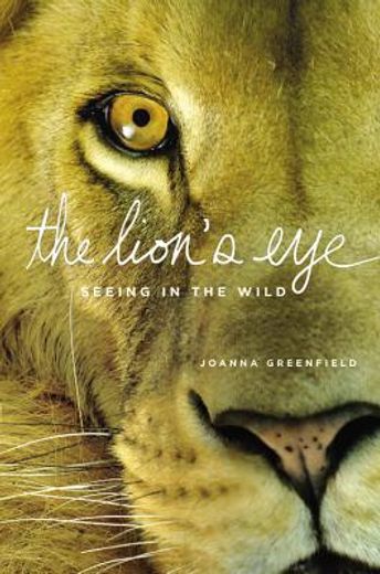 the lion´s eye,seeing in the wild