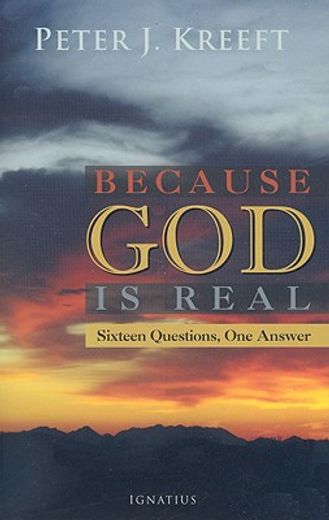 because god is real,sixteen questions, one answer