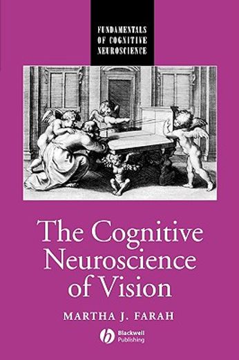 the cognitive neuroscience of vision