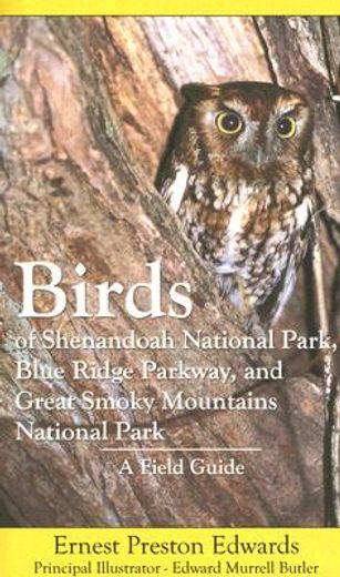 birds of shenandoah national park, blue ridge parkway, and great smoky mountains national park