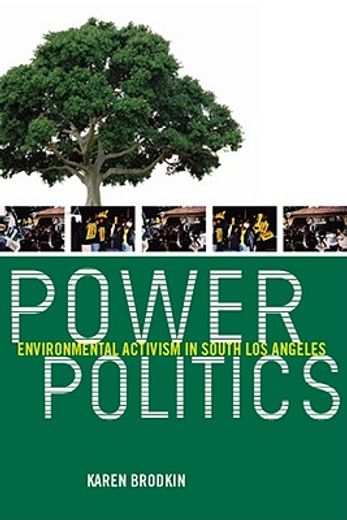 power politics,environmental activism in south los angeles