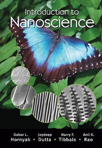 Introduction to Nanoscience (en Inglés)