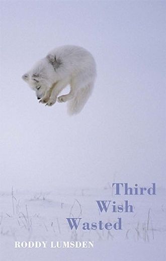 Third Wish Wasted (en Inglés)