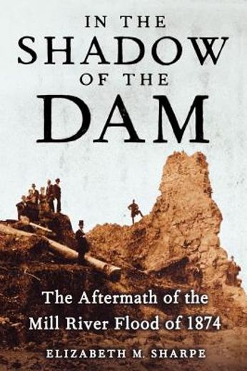 in the shadow of the dam,the aftermath of the mill river flood of 1874 (en Inglés)