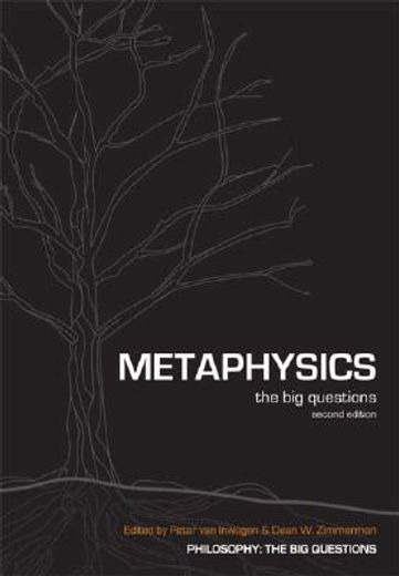 metaphysics,the big questions