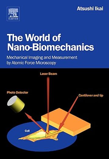 world of nano-biomechanics,mechanical imaging and measurements by atomic force microscopy