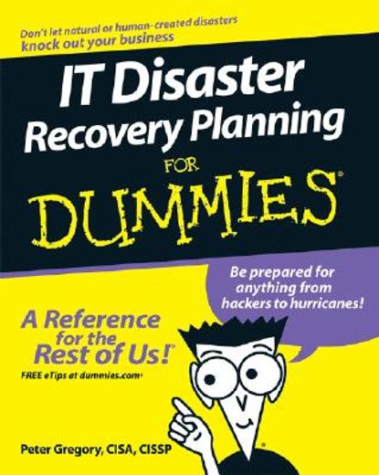 it disaster recovery planning for dummies (in English)