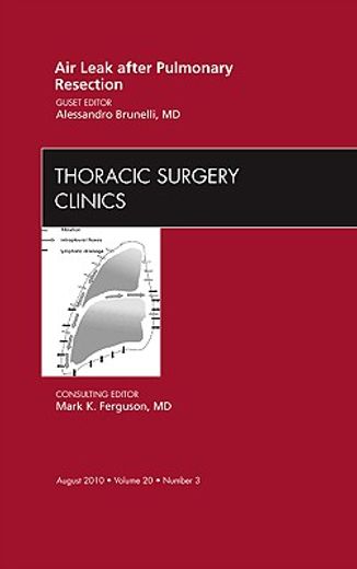 Air Leak After Pulmonary Resection, an Issue of Thoracic Surgery Clinics: Volume 20-3 (en Inglés)