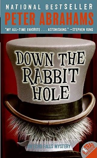 down the rabbit hole,an echo falls mystery