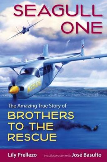 seagull one,the amazing true story of brothers to the rescue