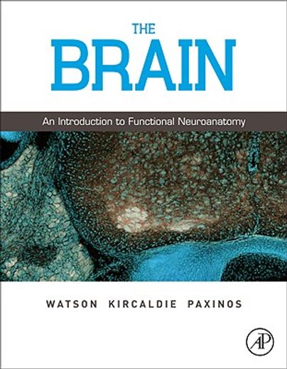 the brain,an introduction to functional neuroanatomy
