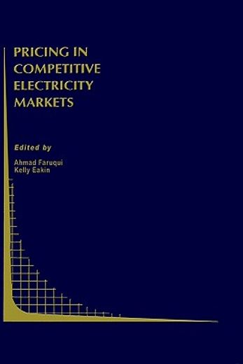 pricing in competitive electricity markets