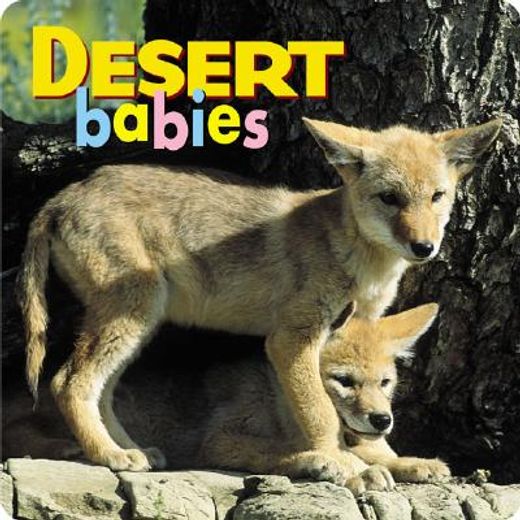 Desert Babies (Animal Babies) (en Inglés)