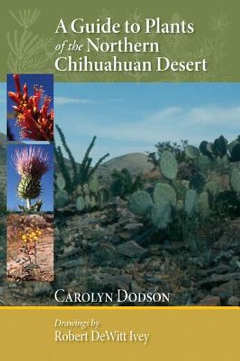 a guide to plants of the northern chihuahuan desert (in English)