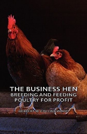 the business hen; breeding and feeding p