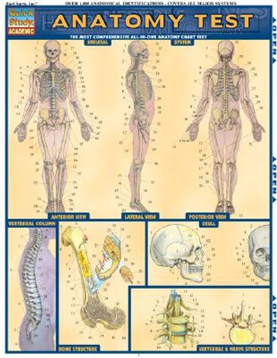 anatomy test laminate reference chart: the most comprehensive all-in-one anatomy chart test