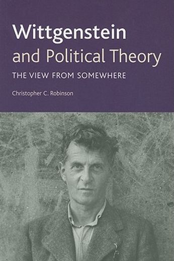 wittgenstein and political theory,the view from somewhere